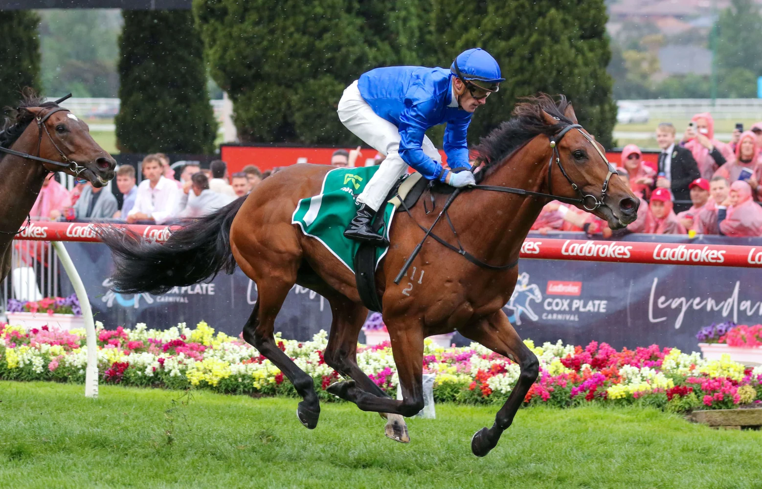 2025 Moonee Valley Vase winner Observer