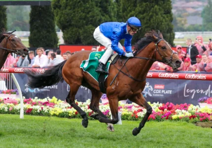 2025 Moonee Valley Vase winner Observer