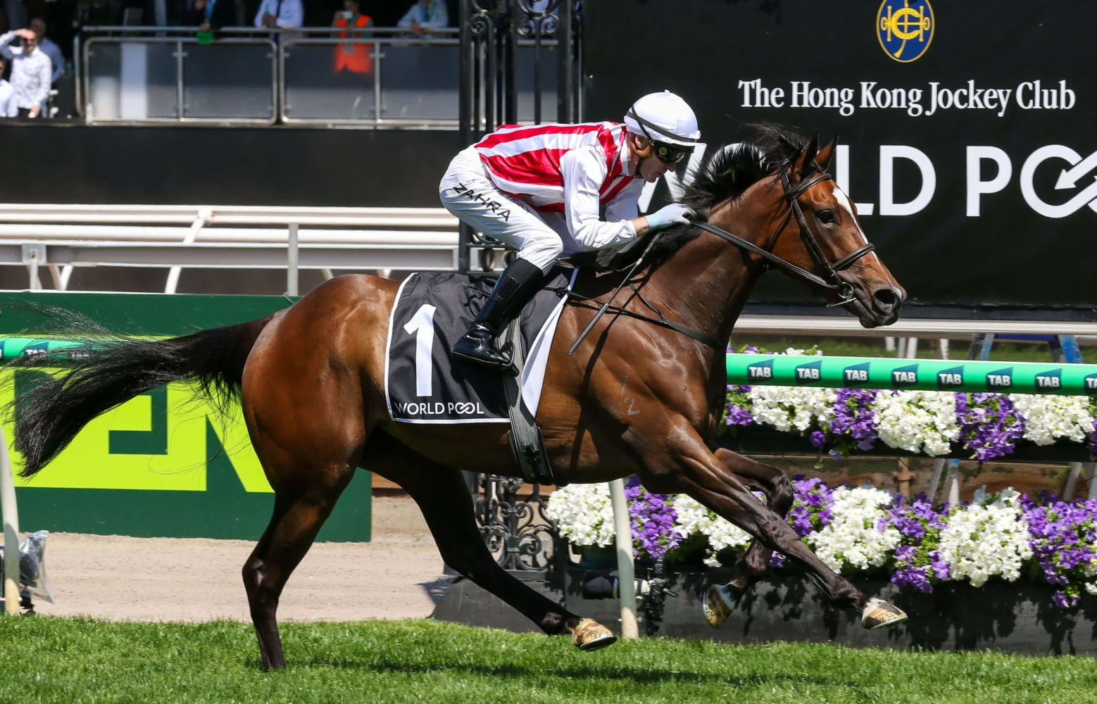 2025 Wakeful Stakes winner Getta Good Feeling