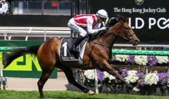 2026 Australasian Oaks Field & Odds Update: Punters Getta Good Feeling