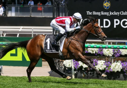 2025 Wakeful Stakes winner Getta Good Feeling