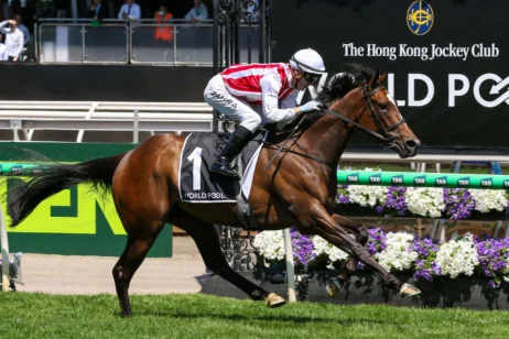 2025 Wakeful Stakes winner Getta Good Feeling