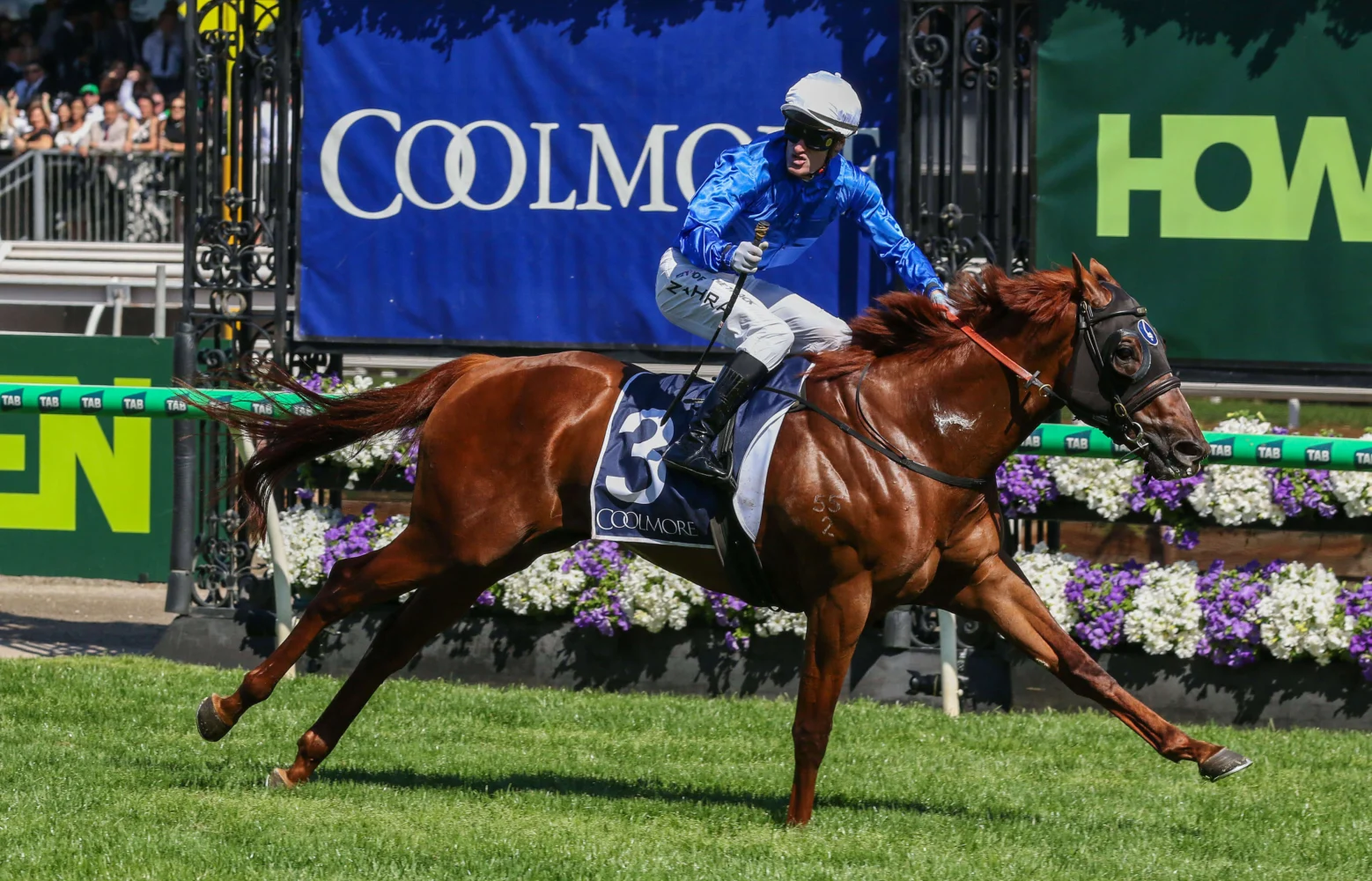 2025 Coolmore Stud Stakes winner Tentyris