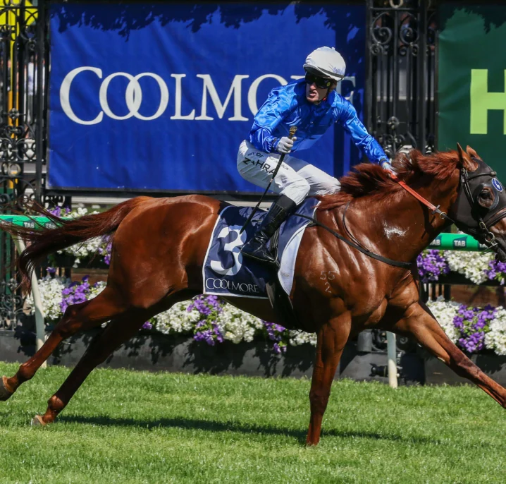 Tentyris Heads 2026 Black Caviar Lightning Field & Odds