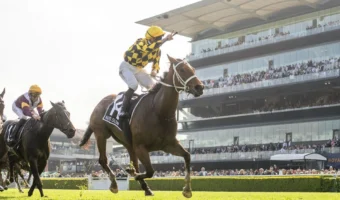 2026 Apollo Stakes Field & Betting Update: Unbeaten Autumn Glow Odds-On