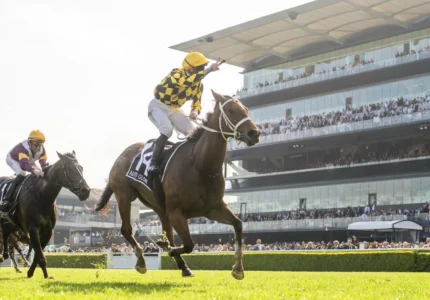 2025 Golden Eagle winner Autumn Glow