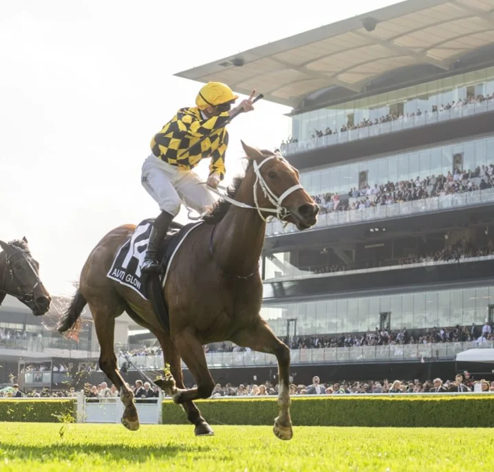 2026 Apollo Stakes Field & Betting Update: Unbeaten Autumn Glow Odds-On