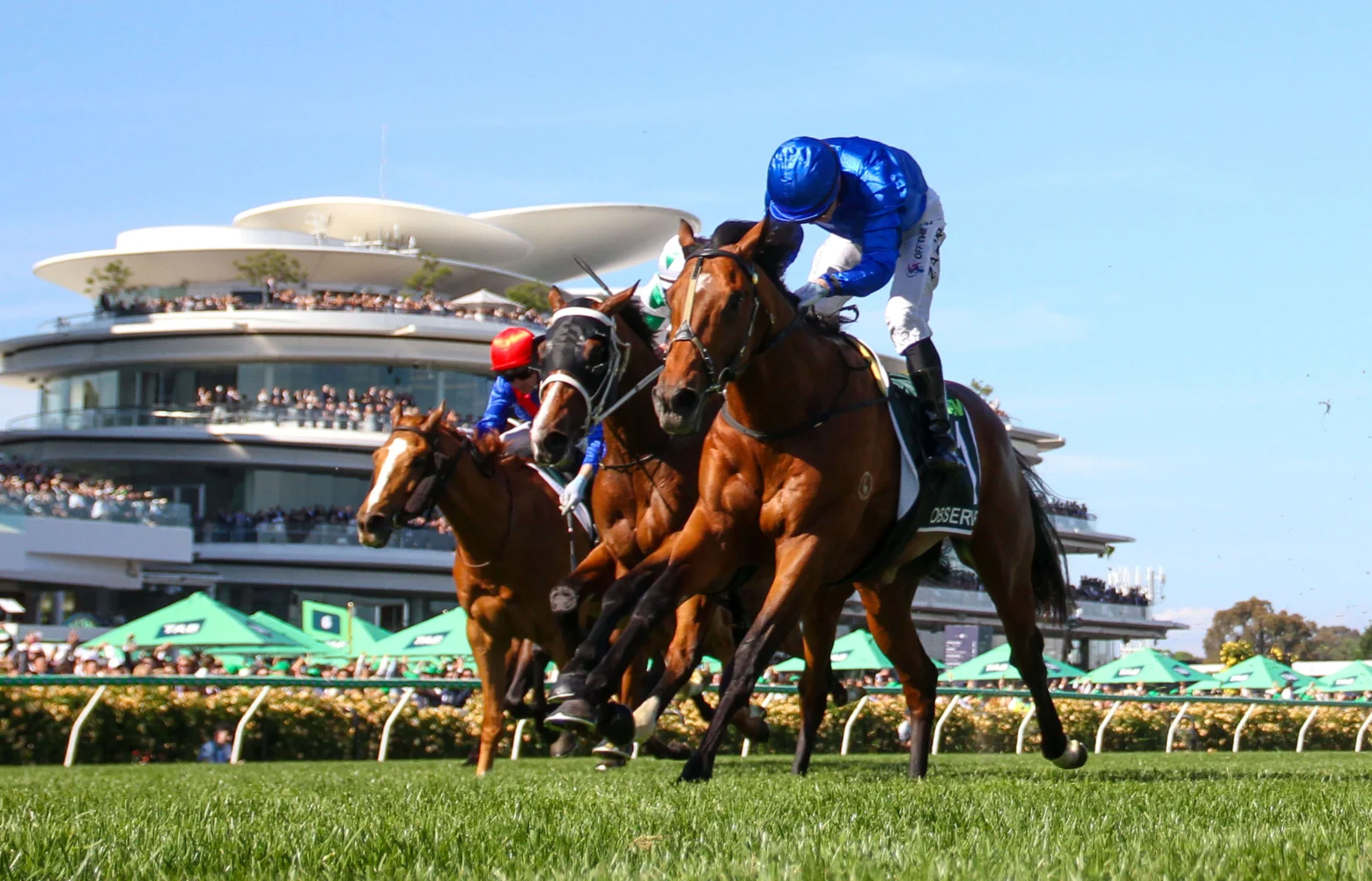 2025 Victoria Derby winner Observer