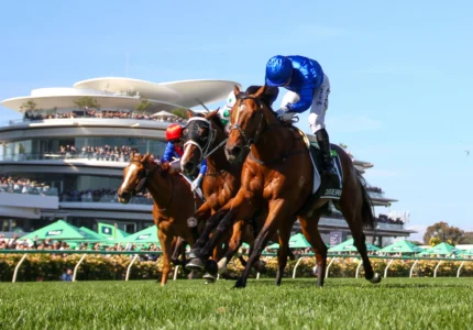 2025 Victoria Derby winner Observer