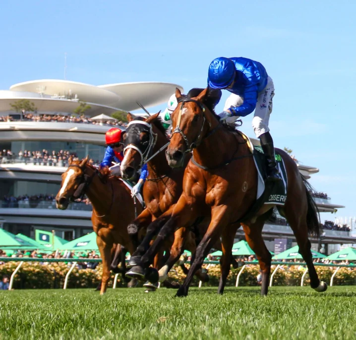 3YO Stars Return in 2026 Autumn Stakes Field