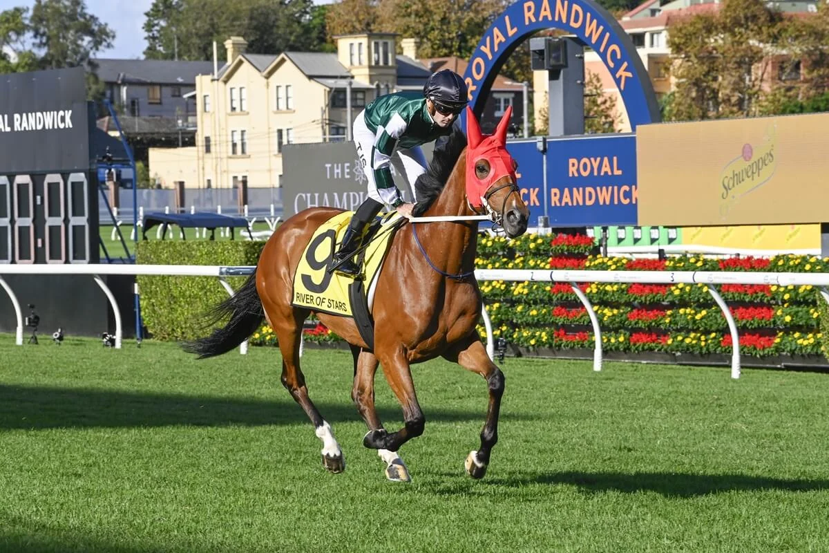 2025 Melbourne Cup Tips: River Of Stars