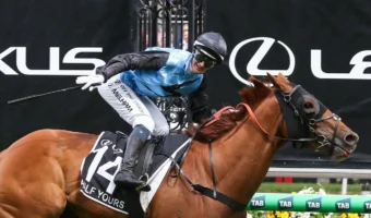 2025 Melbourne Cup Results: Jamie Melham, Half Yours Combine to Create History