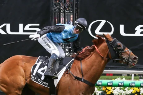 2025 Melbourne Cup Results: Jamie Melham, Half Yours Combine to Create History