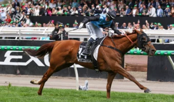 2025 Melbourne Cup Results: Jamie Melham, Half Yours Combine to Create History