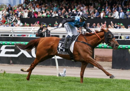 2025 Melbourne Cup winner Half Yours