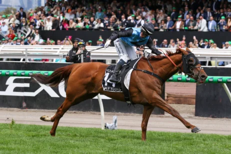 2025 Melbourne Cup Results: Jamie Melham, Half Yours Combine to Create History