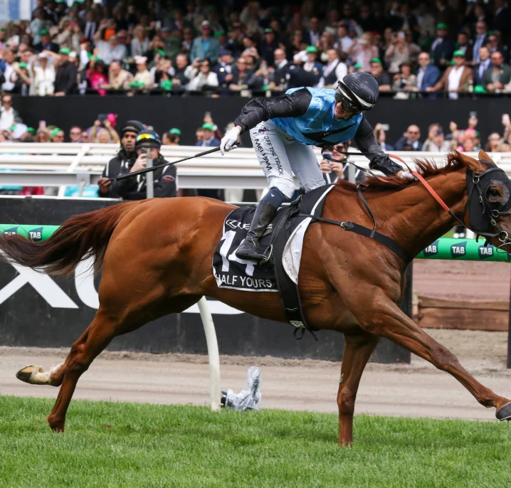 2025 Melbourne Cup Results: Jamie Melham, Half Yours Combine to Create History