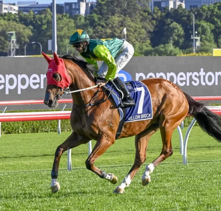 Topweight Yellow Brick Tops Magic Millions Cup 2026 Field & Betting