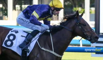 2026 Australia Stakes Field & Betting Update: War Machine Odds-On Favourite