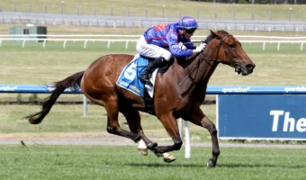Hedged Leads 2026 Rubiton Stakes Field & Odds