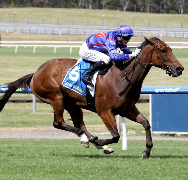 Hedged Leads 2026 Rubiton Stakes Field & Odds