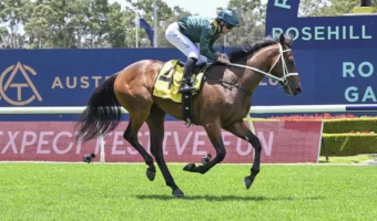 2026 Inglis Millennium Field & Betting Update