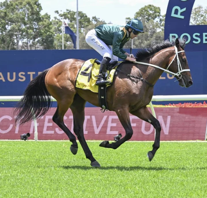 2026 Inglis Millennium Field & Betting Update