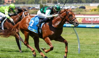 Prelude Winners Firm in 2026 Blue Diamond Stakes Betting