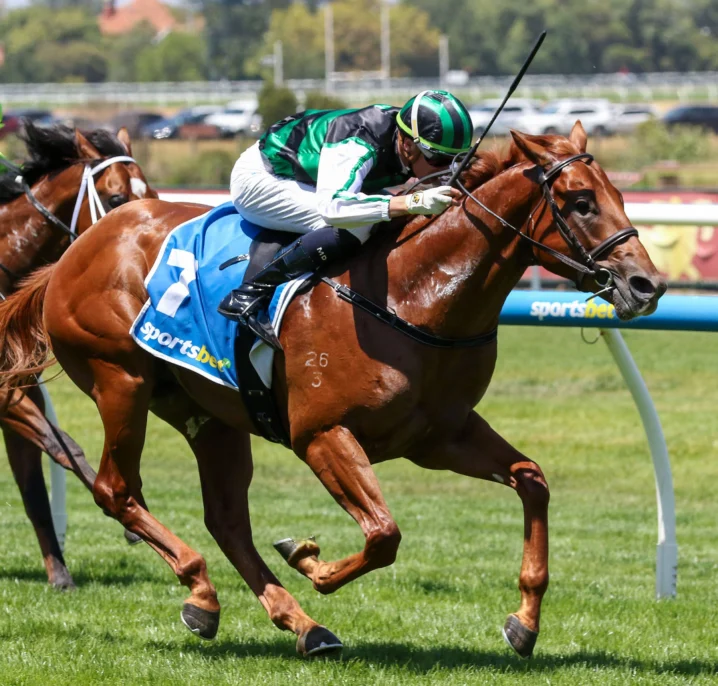 Prelude Winners Firm in 2026 Blue Diamond Stakes Betting