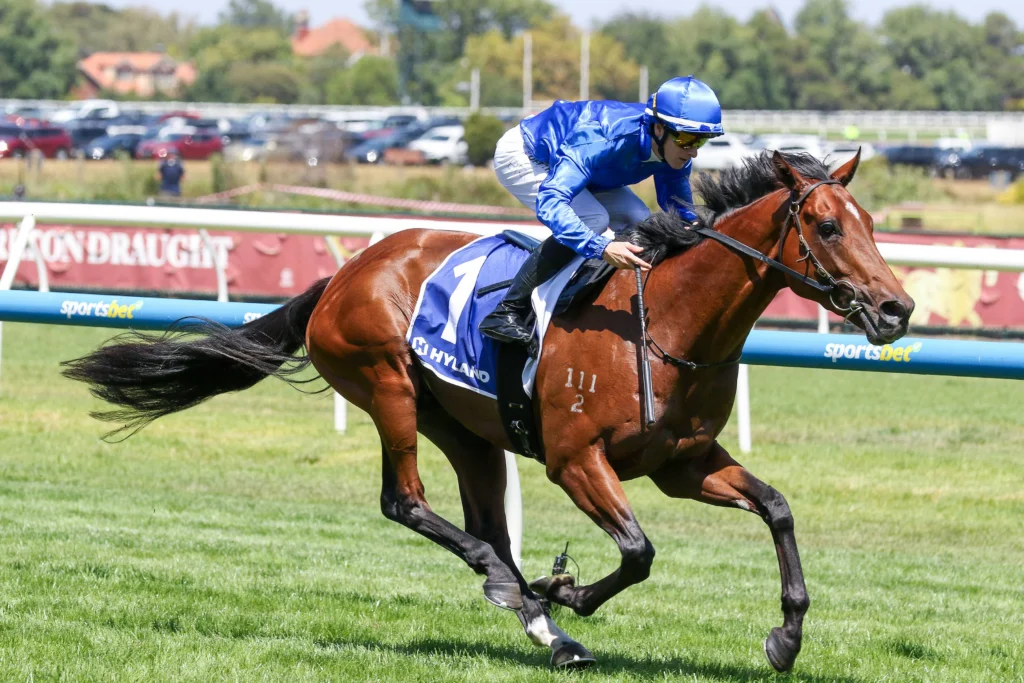 2026 Autumn Stakes winner Observer