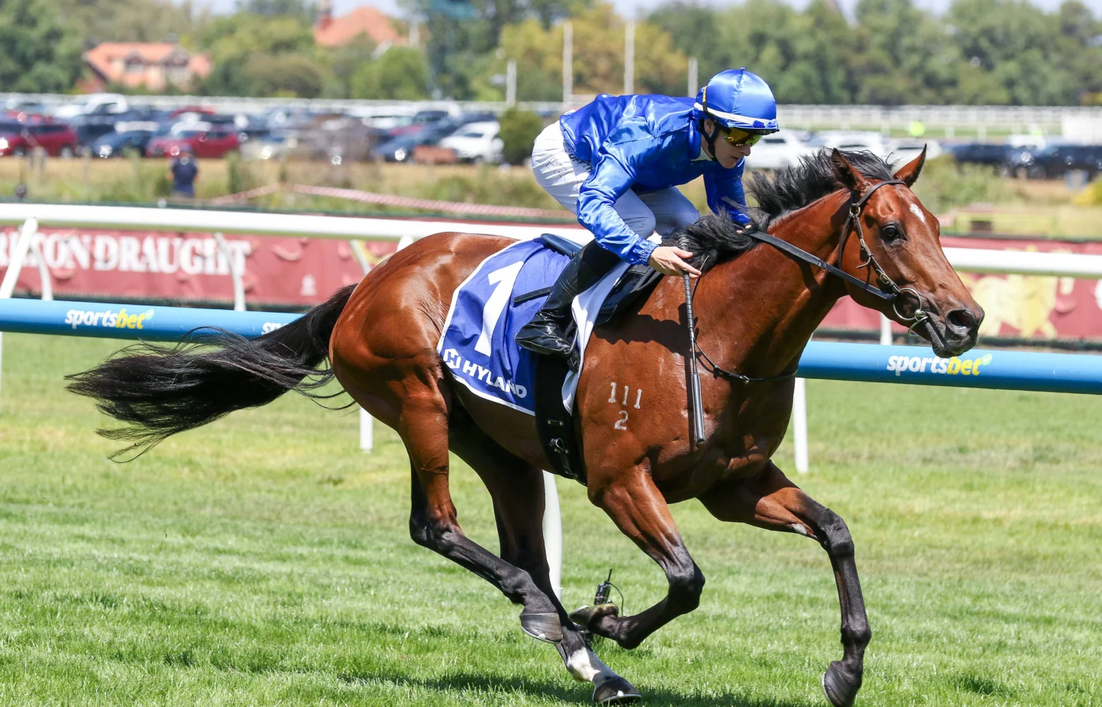 2026 Autumn Stakes winner Observer