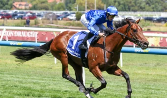 Observer Wins Autumn Stakes, Firms into 2026 Australian Guineas Favouritism