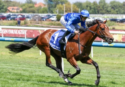 2026 Autumn Stakes winner Observer