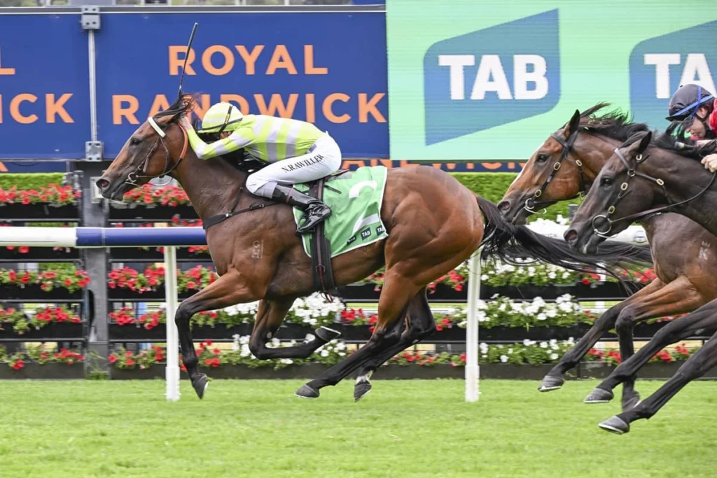 2026 Light Fingers Stakes winner Savvy Hallie