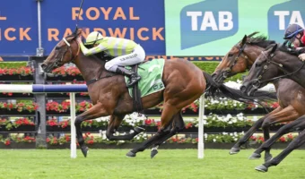 Surround Stakes Odds Firm on 2026 Light Fingers Winner Savvy Hallie