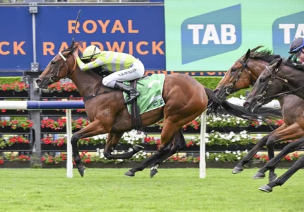 2026 Light Fingers Stakes winner Savvy Hallie