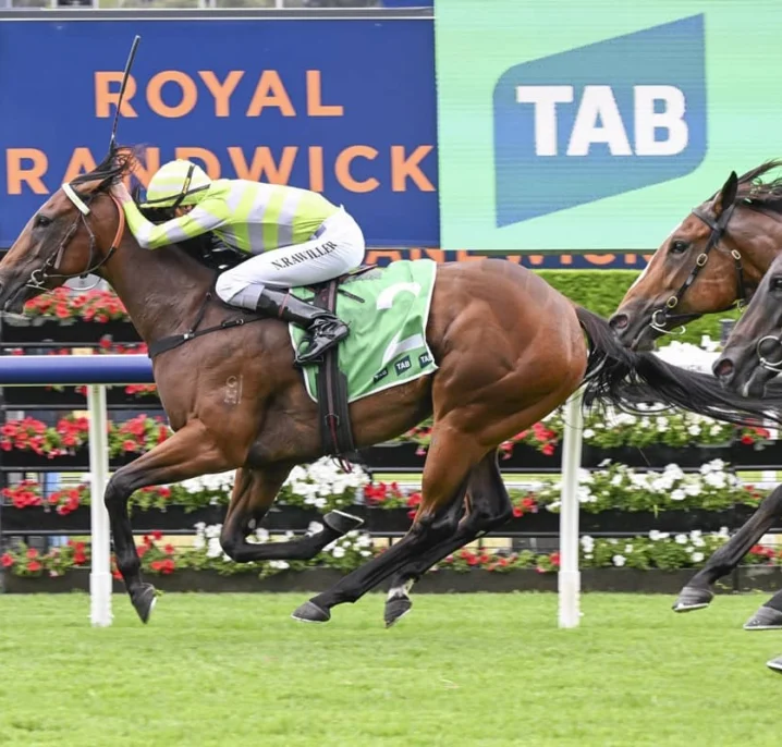 Surround Stakes Odds Firm on 2026 Light Fingers Winner Savvy Hallie