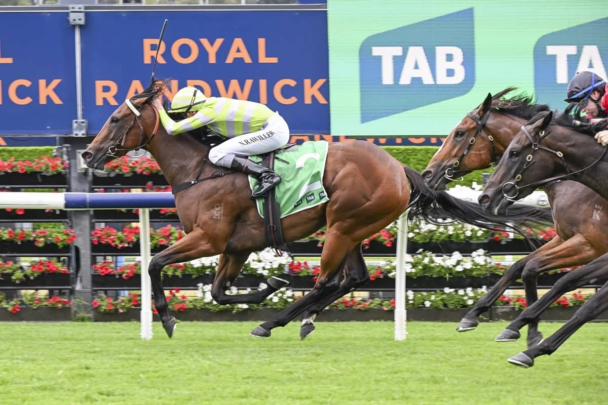 2026 Light Fingers Stakes winner Savvy Hallie