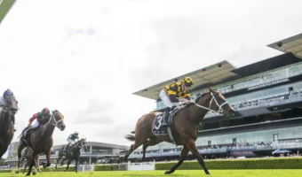 Joliestar Wins 2026 Expressway Stakes, Firms in Canterbury Stakes Betting