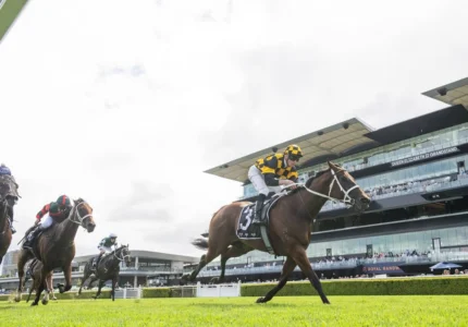 2026 Expressway Stakes winner Joliestar