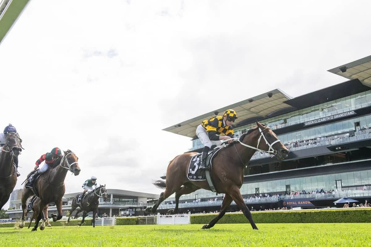 2026 Expressway Stakes winner Joliestar