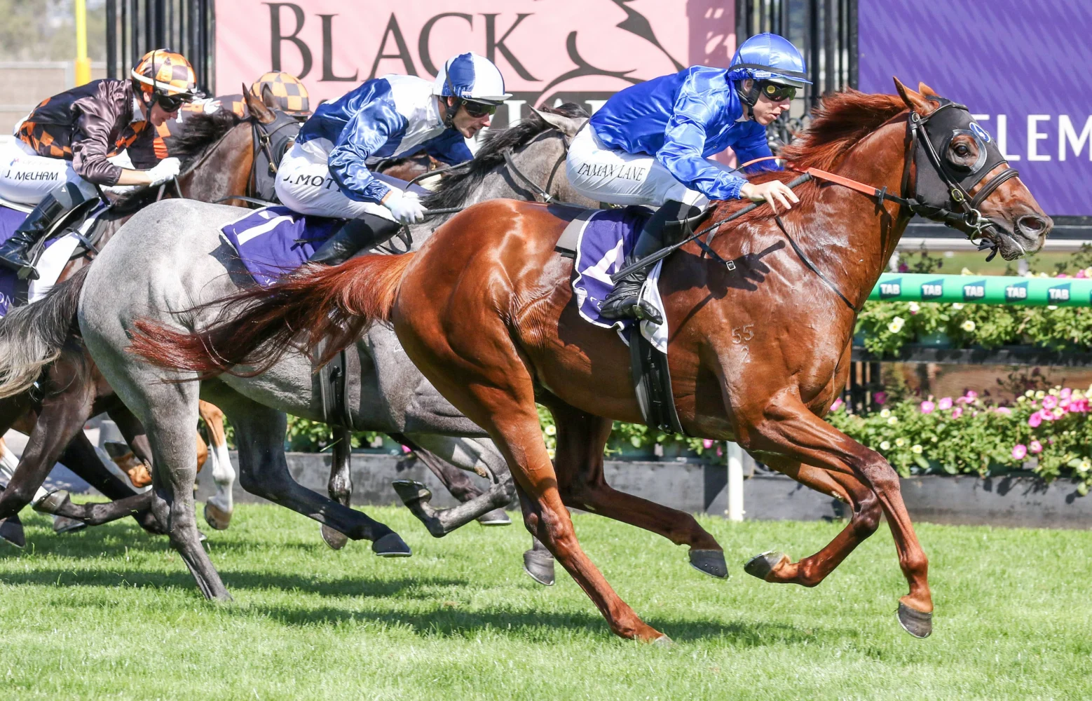 2026 Black Caviar Lightning winner Tentyris