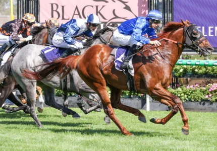 2026 Black Caviar Lightning winner Tentyris