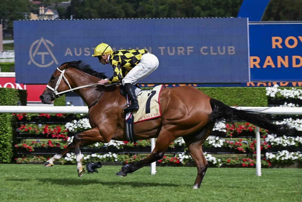 2026 Apollo Stakes winner Autumn Glow