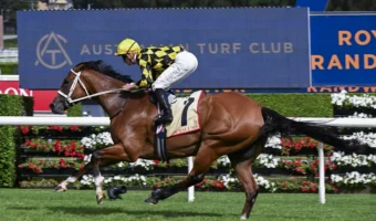 Undefeated Autumn Glow Wins 2026 Apollo Stakes, Odds-On for Verry Elleegant