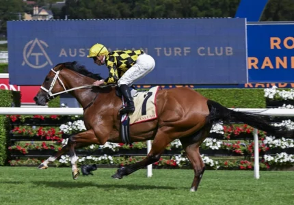 2026 Apollo Stakes winner Autumn Glow