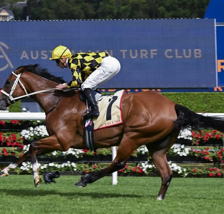 Undefeated Autumn Glow Wins 2026 Apollo Stakes, Odds-On for Verry Elleegant