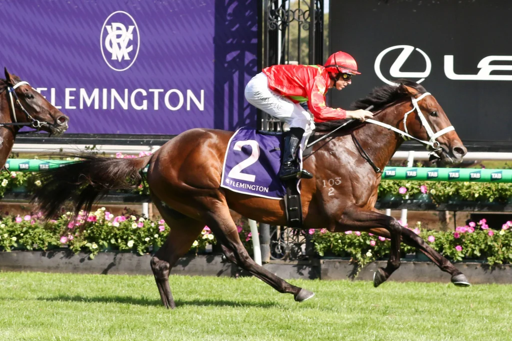 2026 CS Hayes Stakes winner Sixties