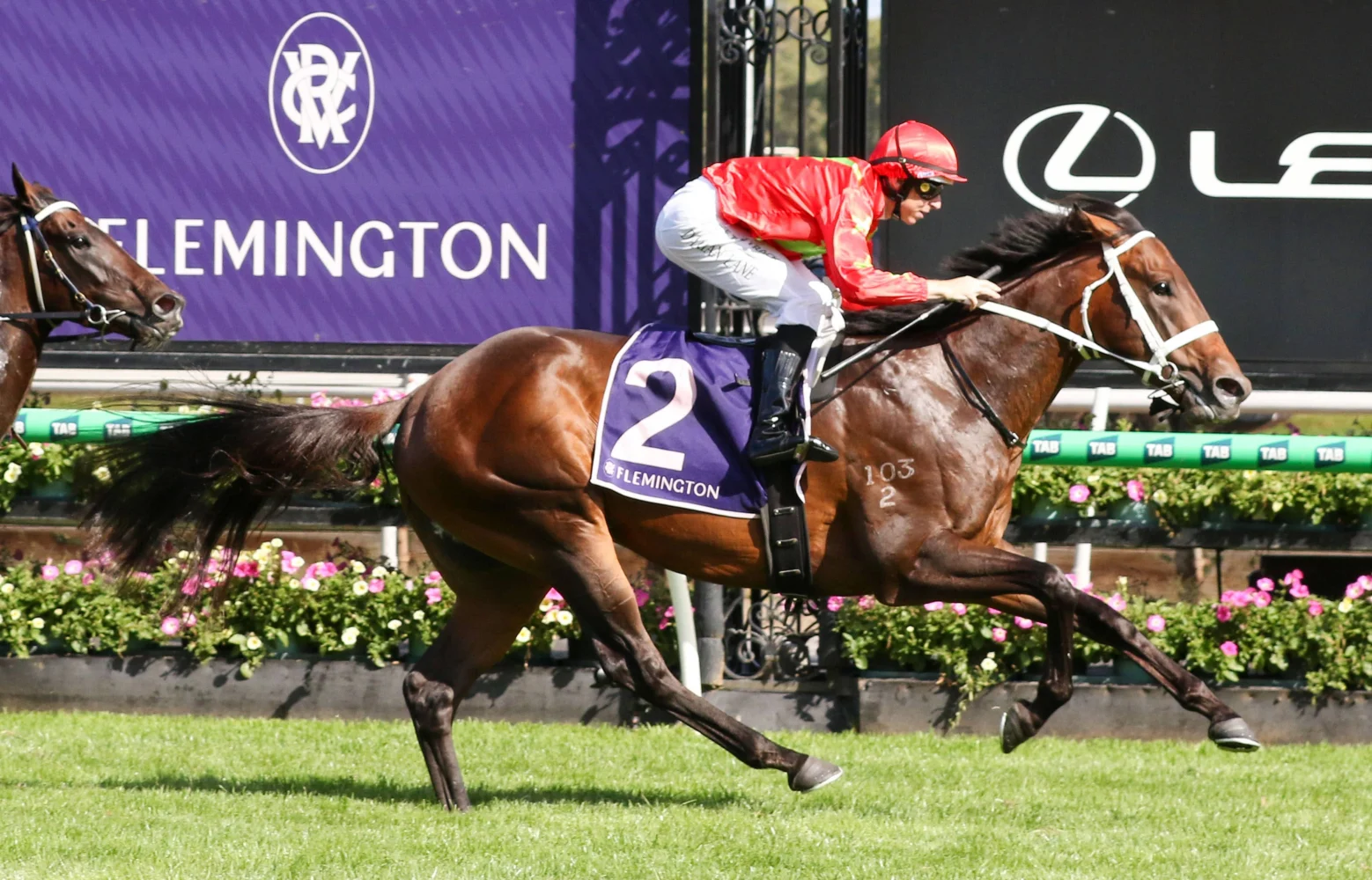 2026 CS Hayes Stakes winner Sixties