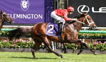 Australian Guineas Odds Slashed on 2026 CS Hayes Stakes Winner Sixties